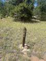 987 Eagle Rock Road - Photo 8