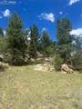 987 Eagle Rock Road - Photo 9