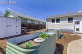 1009 Monument Street - Photo 38