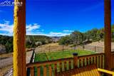11799 County Road 73.2 - Photo 5