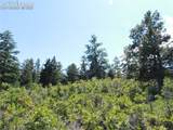 LOT 9 Thunderbird Road - Photo 14