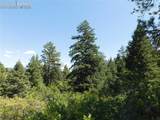 LOT 9 Thunderbird Road - Photo 16