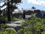 LOT 9 Thunderbird Road - Photo 18