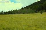  Highway 24 - Photo 11