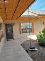 235 Chestnut Street - Photo 17