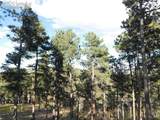 13910 Boulder Lane - Photo 4