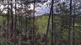 13910 Boulder Lane - Photo 41