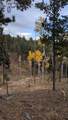 13910 Boulder Lane - Photo 42