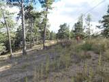 13910 Boulder Lane - Photo 7