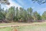 8257 Bannock Drive - Photo 18