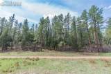 8257 Bannock Drive - Photo 19
