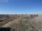 11701 County Road 137 - Photo 1