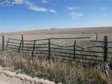 11701 County Road 137 - Photo 2