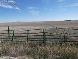 11701 County Road 137 - Photo 3