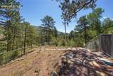 9340 Columbine Trail - Photo 88