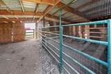 12535 Richardson Lane - Photo 37