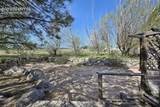 12535 Richardson Lane - Photo 40