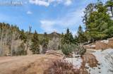 5865 Waterfall Loop - Photo 37