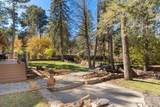 1515 Cheyenne Road - Photo 10