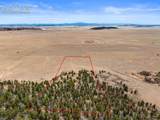 2030 Puma Hills Road - Photo 8