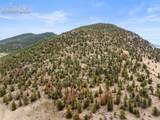 2030 Puma Hills Road - Photo 81