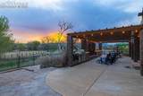 11960 Old Pueblo Road - Photo 10