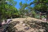 1325 Golden Hills Road - Photo 38