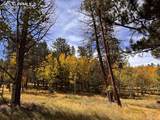 Lot 20 Echo Lake Drive - Photo 10
