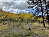 Lot 20 Echo Lake Drive - Photo 11