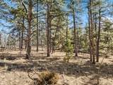 Lot 20 Echo Lake Drive - Photo 6