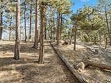 Lot 20 Echo Lake Drive - Photo 7