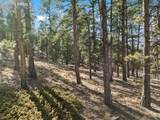 Lot 20 Echo Lake Drive - Photo 8