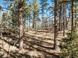 Lot 20 Echo Lake Drive - Photo 9
