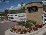 307 Pinaceae Heights - Photo 3