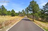 15950 Roller Coaster Road - Photo 20