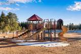 16075 Winding Trail Road - Photo 40