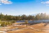 16075 Winding Trail Road - Photo 41