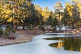 16075 Winding Trail Road - Photo 42