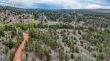 124 Shavano Circle - Photo 15