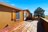 12625 Palomino Drive - Photo 4