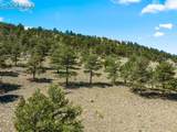 835 Sulphur Mountain Road - Photo 12