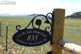 835 Sulphur Mountain Road - Photo 3