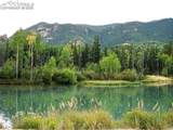 6060 Big Horn Road - Photo 8