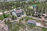 6625 Gun Club Trail - Photo 46