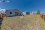 7553 Alpine Daisy Drive - Photo 17