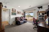 537 Chapparal Trail - Photo 13