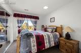 537 Chapparal Trail - Photo 19