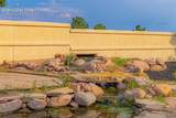 3785 Cherry Plum Drive - Photo 42