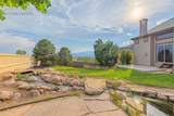 3785 Cherry Plum Drive - Photo 43