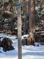 386 Brook Drive - Photo 44
